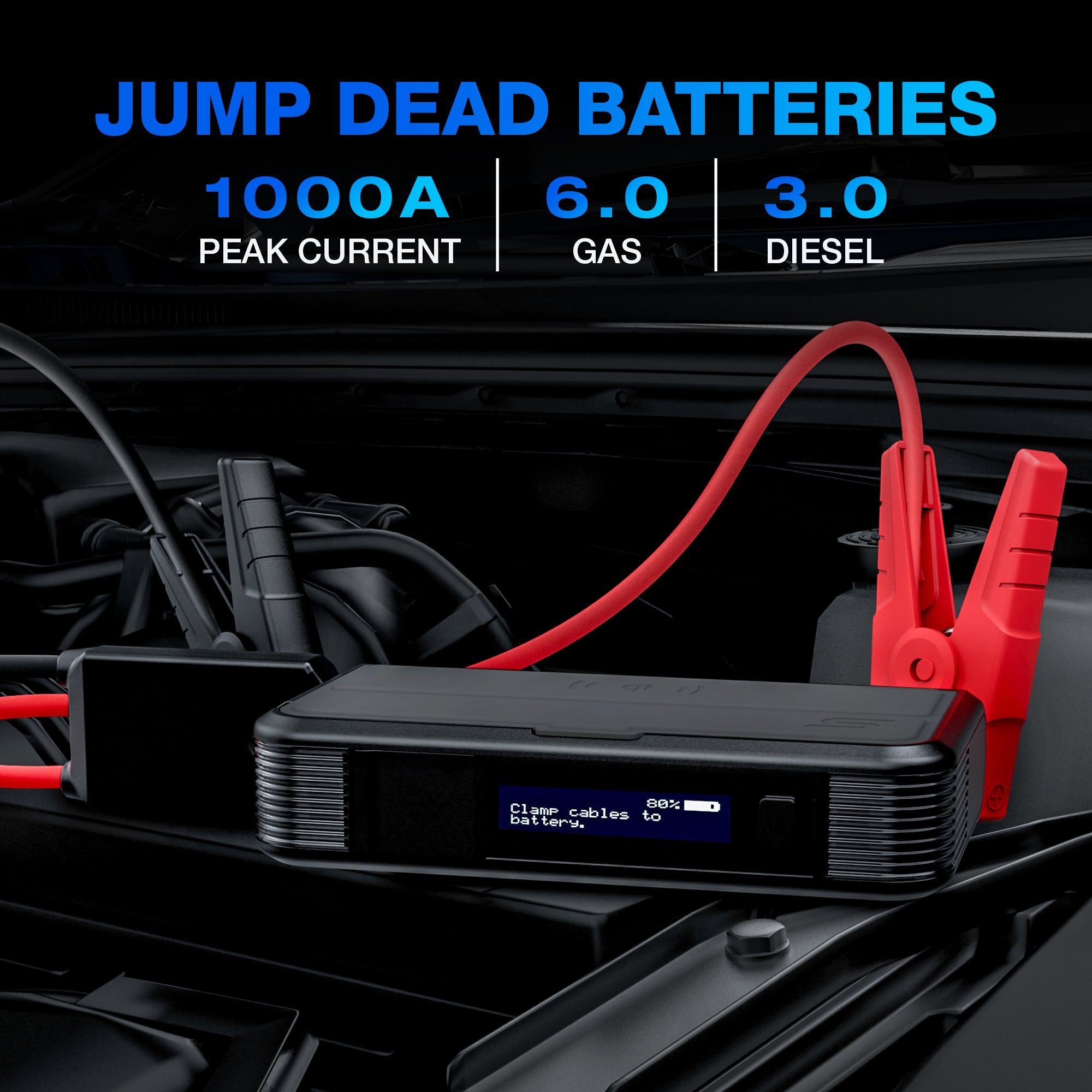 Dynamic Plus (Type C) - DP10C