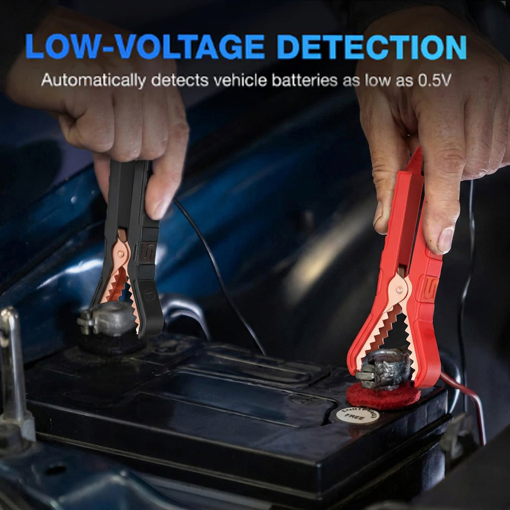 TYPE S 1A Battery Charger and Maintainer
