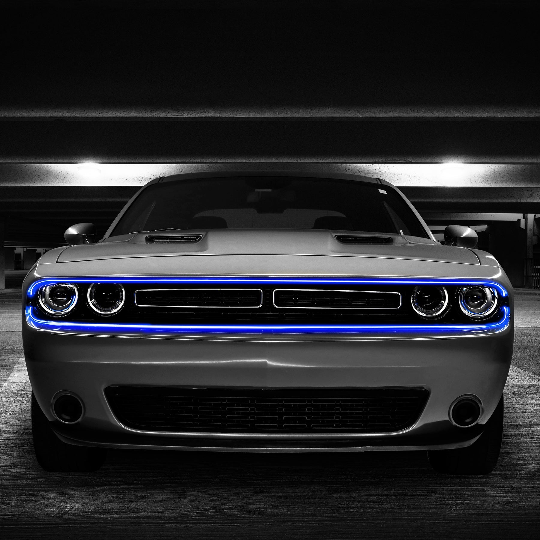 TYPE S 120" Smart LED Exterior Trim Lighting Kit - TYPE S Touring Items-LM57485-1